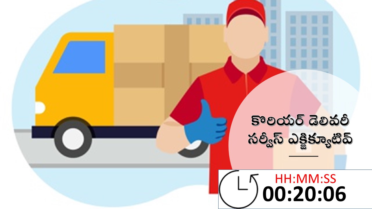 Courier Delivery Executive